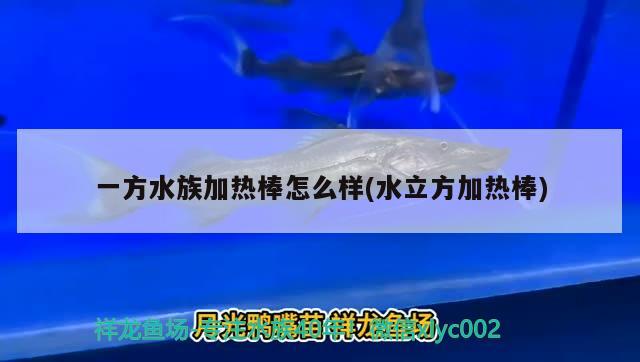 一方水族加熱棒怎么樣(水立方加熱棒)