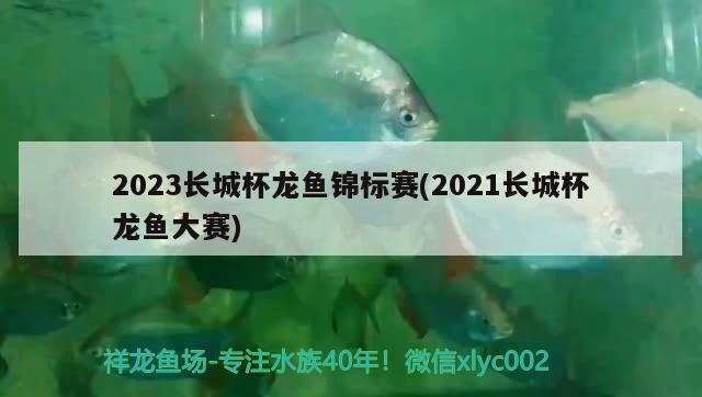 2023長城杯龍魚錦標賽(2021長城杯龍魚大賽) 2024第28屆中國國際寵物水族展覽會CIPS（長城寵物展2024 CIPS）