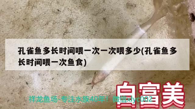 孔雀魚多長(zhǎng)時(shí)間喂一次一次喂多少(孔雀魚多長(zhǎng)時(shí)間喂一次魚食) 觀賞魚 第1張