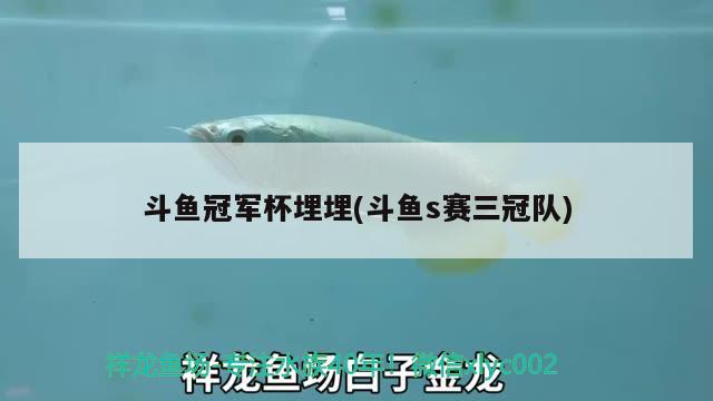 斗魚冠軍杯埋埋(斗魚s賽三冠隊(duì))