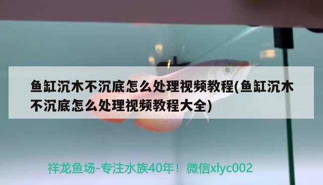 魚缸沉木不沉底怎么處理視頻教程(魚缸沉木不沉底怎么處理視頻教程大全) 黃金夢(mèng)幻雷龍魚