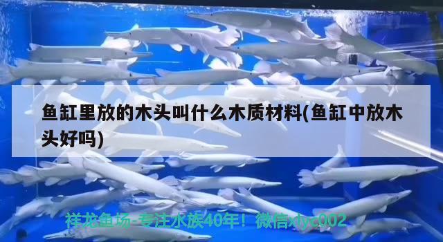 魚(yú)缸里放的木頭叫什么木質(zhì)材料(魚(yú)缸中放木頭好嗎)