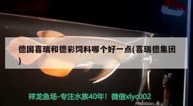 德國喜瑞和德彩飼料哪個好一點(喜瑞德集團) 2024第28屆中國國際寵物水族展覽會CIPS（長城寵物展2024 CIPS）