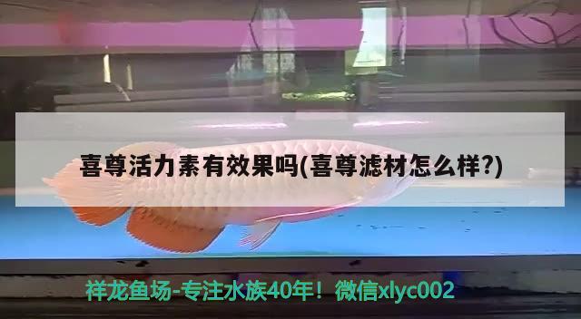 喜尊活力素有效果嗎(喜尊濾材怎么樣?) 2025第29屆中國(guó)國(guó)際寵物水族展覽會(huì)CIPS（長(zhǎng)城寵物展2025 CIPS）