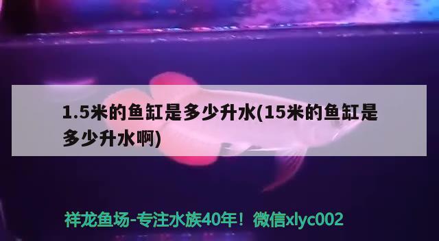 1.5米的魚缸是多少升水(15米的魚缸是多少升水啊) 彩鰈魚缸（彩蝶魚缸）