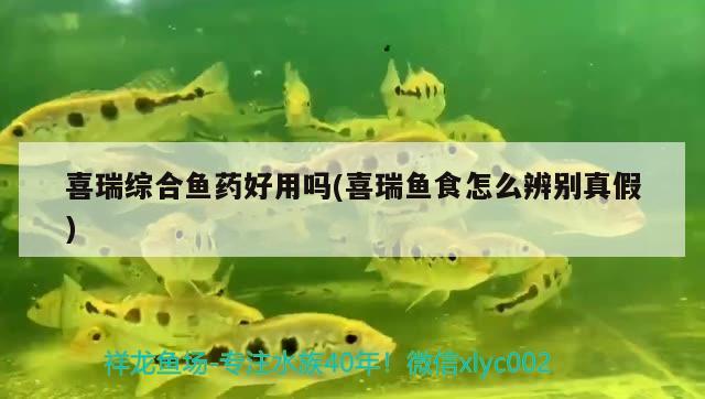 喜瑞綜合魚藥好用嗎(喜瑞魚食怎么辨別真假)