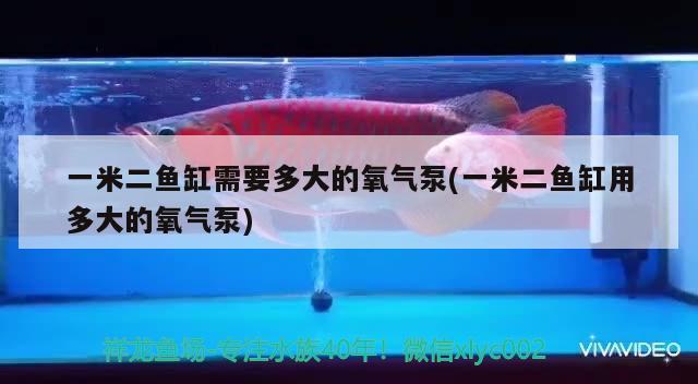 一米二魚缸需要多大的氧氣泵(一米二魚缸用多大的氧氣泵)