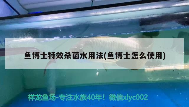 魚博士特效殺菌水用法(魚博士怎么使用) 2024第28屆中國(guó)國(guó)際寵物水族展覽會(huì)CIPS（長(zhǎng)城寵物展2024 CIPS）