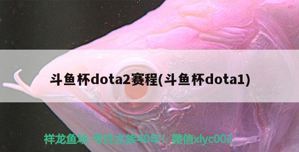 斗魚杯dota2賽程(斗魚杯dota1)