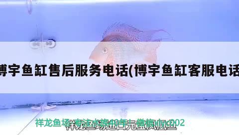 博宇魚缸售后服務(wù)電話(博宇魚缸客服電話) 2025第29屆中國國際寵物水族展覽會(huì)CIPS（長城寵物展2025 CIPS）