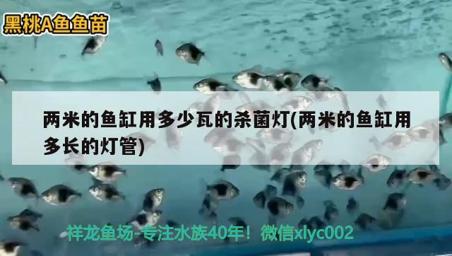 兩米的魚缸用多少瓦的殺菌燈(兩米的魚缸用多長的燈管) 帝王三間魚