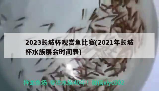 2023長城杯觀賞魚比賽(2021年長城杯水族展會(huì)時(shí)間表) 水族展會(huì)