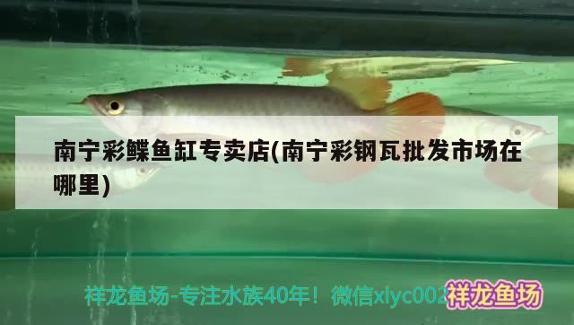 南寧彩鰈魚缸專賣店(南寧彩鋼瓦批發(fā)市場在哪里) 彩鰈魚缸（彩蝶魚缸）