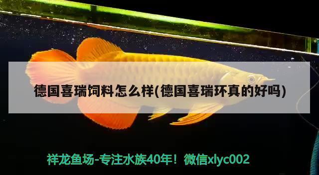 德國喜瑞飼料怎么樣(德國喜瑞環(huán)真的好嗎) 2024第28屆中國國際寵物水族展覽會CIPS（長城寵物展2024 CIPS） 第1張