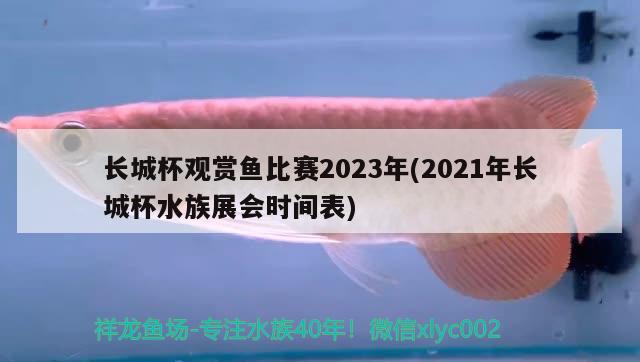 長城杯觀賞魚比賽2023年(2021年長城杯水族展會時(shí)間表) 水族展會