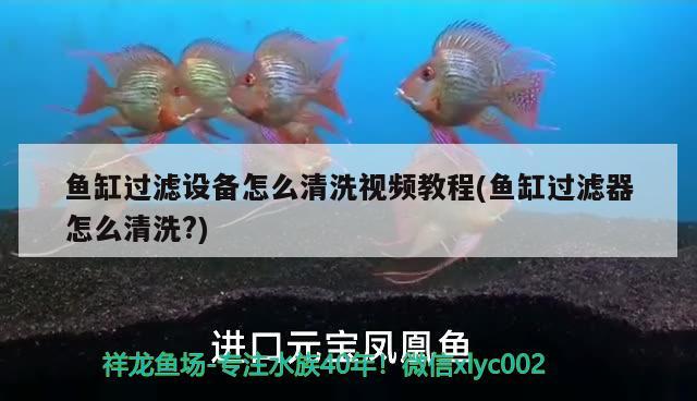 魚缸過濾設(shè)備怎么清洗視頻教程(魚缸過濾器怎么清洗?) 過濾設(shè)備