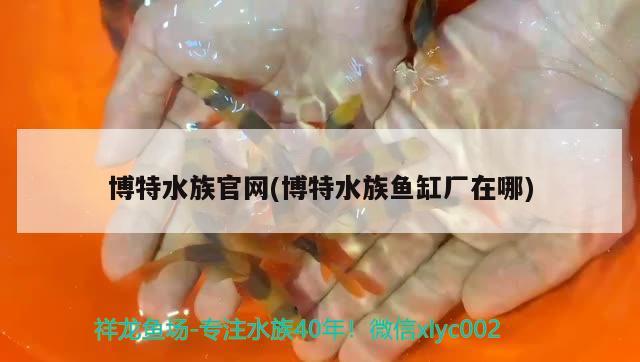 博特水族官網(wǎng)(博特水族魚缸廠在哪)