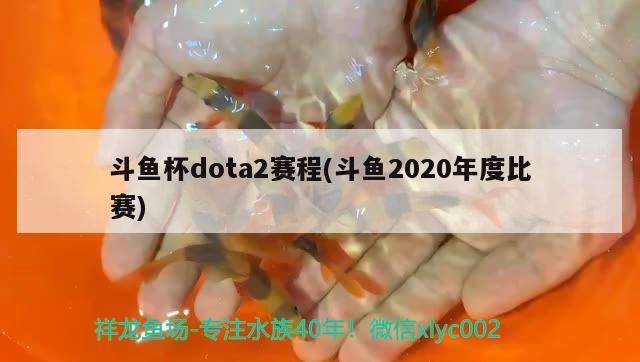 斗魚杯dota2賽程(斗魚2020年度比賽) 2025第29屆中國國際寵物水族展覽會CIPS（長城寵物展2025 CIPS）