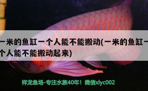 一米的魚缸一個人能不能搬動(一米的魚缸一個人能不能搬動起來)