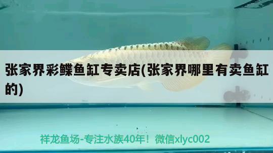 張家界彩鰈魚(yú)缸專(zhuān)賣(mài)店(張家界哪里有賣(mài)魚(yú)缸的) 彩鰈魚(yú)缸（彩蝶魚(yú)缸）