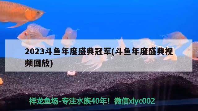 2023斗魚年度盛典冠軍(斗魚年度盛典視頻回放)