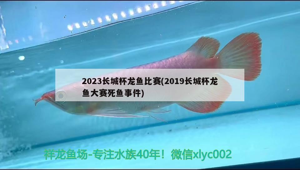 2023長(zhǎng)城杯龍魚比賽(2019長(zhǎng)城杯龍魚大賽死魚事件) 2025第29屆中國(guó)國(guó)際寵物水族展覽會(huì)CIPS（長(zhǎng)城寵物展2025 CIPS）