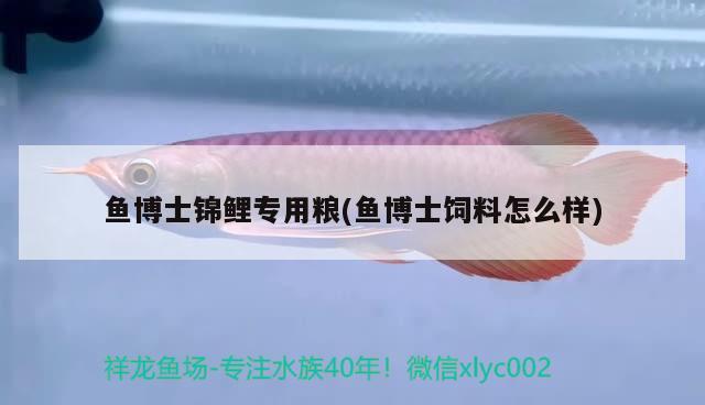 魚博士錦鯉專用糧(魚博士飼料怎么樣) 2025第29屆中國國際寵物水族展覽會(huì)CIPS（長城寵物展2025 CIPS）