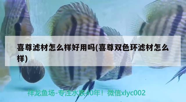 喜尊濾材怎么樣好用嗎(喜尊雙色環(huán)濾材怎么樣) 2024第28屆中國國際寵物水族展覽會CIPS（長城寵物展2024 CIPS）