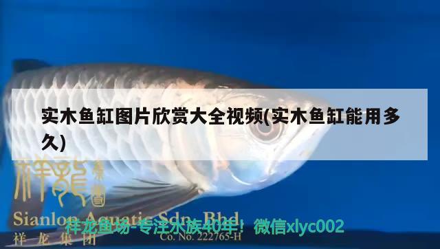 實(shí)木魚缸圖片欣賞大全視頻(實(shí)木魚缸能用多久) 金三間魚