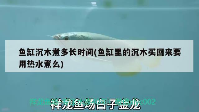 魚缸沉木煮多長時間(魚缸里的沉木買回來要用熱水煮么)