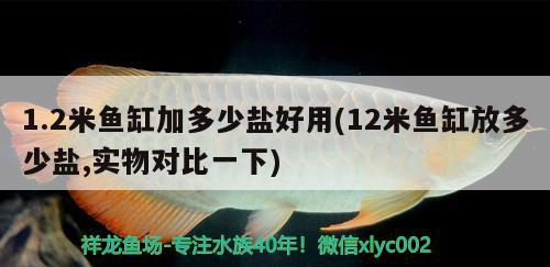 1.2米魚缸加多少鹽好用(12米魚缸放多少鹽,實物對比一下)