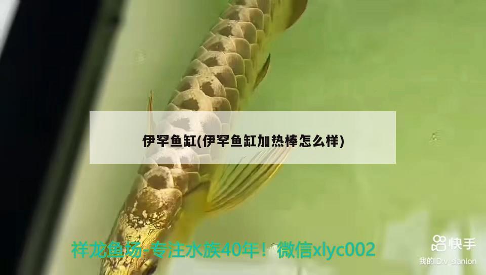 伊罕魚缸(伊罕魚缸加熱棒怎么樣)