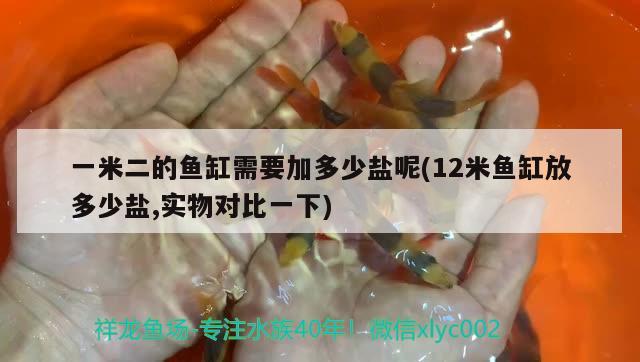 一米二的魚缸需要加多少鹽呢(12米魚缸放多少鹽,實物對比一下)