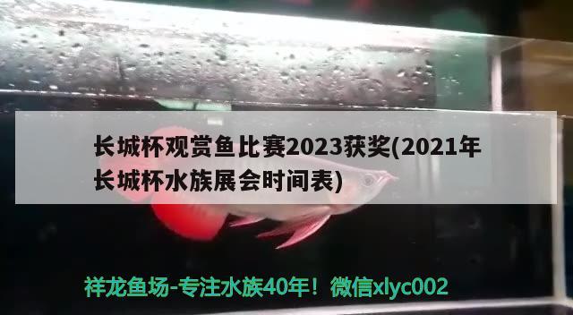 長城杯觀賞魚比賽2023獲獎(2021年長城杯水族展會時間表) 水族展會