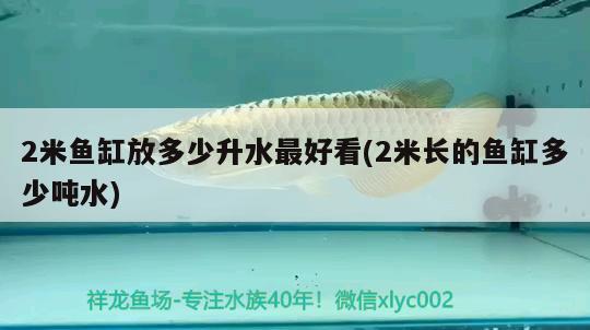 2米魚缸放多少升水最好看(2米長的魚缸多少噸水) 雪龍魚 第2張