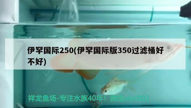 伊罕國(guó)際250(伊罕國(guó)際版350過濾桶好不好)