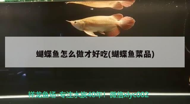 蝴蝶魚怎么做才好吃(蝴蝶魚菜品) 蝴蝶鯉