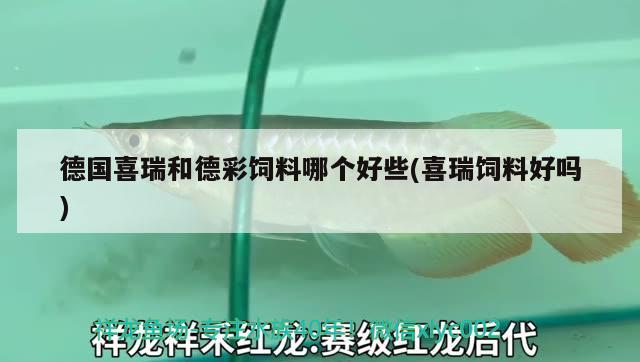 德國(guó)喜瑞和德彩飼料哪個(gè)好些(喜瑞飼料好嗎) 2024第28屆中國(guó)國(guó)際寵物水族展覽會(huì)CIPS（長(zhǎng)城寵物展2024 CIPS） 第2張