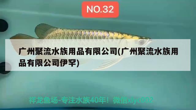 廣州聚流水族用品有限公司(廣州聚流水族用品有限公司伊罕) 伊罕水族