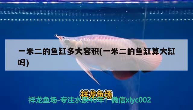 一米二的魚缸多大容積(一米二的魚缸算大缸嗎)