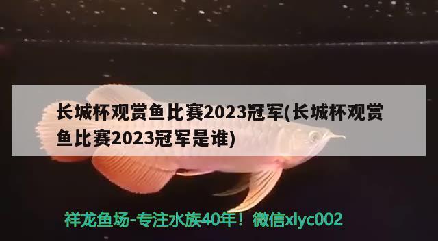 長城杯觀賞魚比賽2023冠軍(長城杯觀賞魚比賽2023冠軍是誰) 2024第28屆中國國際寵物水族展覽會(huì)CIPS（長城寵物展2024 CIPS）