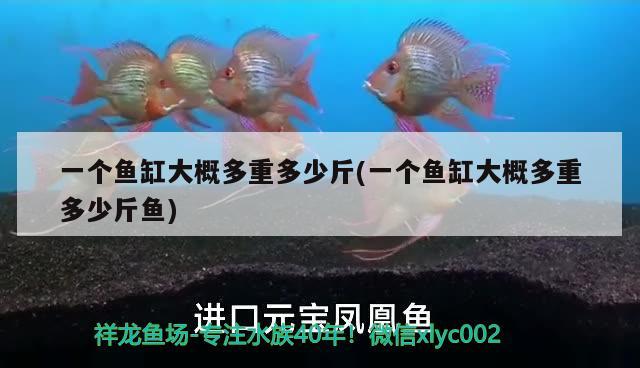 一個魚缸大概多重多少斤(一個魚缸大概多重多少斤魚)