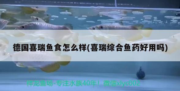 德國(guó)喜瑞魚食怎么樣(喜瑞綜合魚藥好用嗎) 2025第29屆中國(guó)國(guó)際寵物水族展覽會(huì)CIPS（長(zhǎng)城寵物展2025 CIPS）