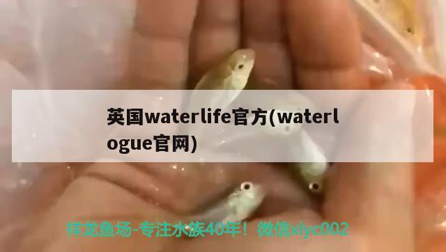 英國waterlife官方(waterlogue官網(wǎng)) 2024第28屆中國國際寵物水族展覽會CIPS（長城寵物展2024 CIPS）