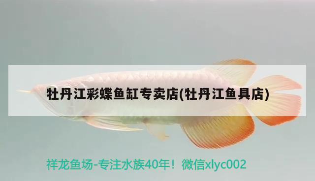 牡丹江彩蝶魚(yú)缸專賣(mài)店(牡丹江魚(yú)具店)