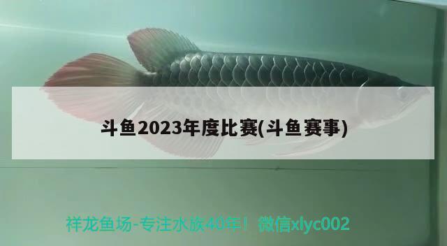 斗魚(yú)2023年度比賽(斗魚(yú)賽事) 2024第28屆中國(guó)國(guó)際寵物水族展覽會(huì)CIPS（長(zhǎng)城寵物展2024 CIPS） 第1張