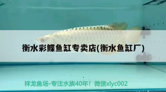 衡水彩鰈魚缸專賣店(衡水魚缸廠)