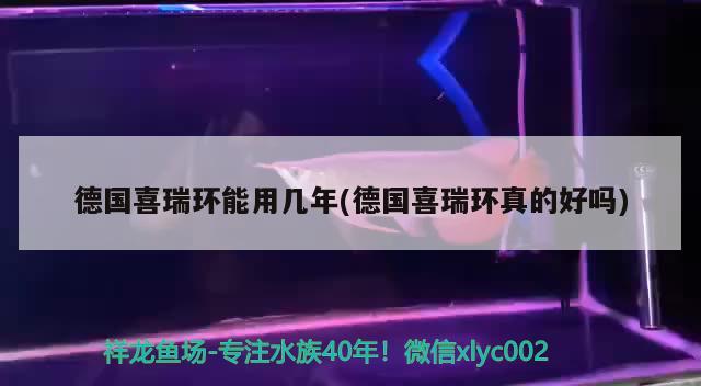 德國(guó)喜瑞環(huán)能用幾年(德國(guó)喜瑞環(huán)真的好嗎) 2024第28屆中國(guó)國(guó)際寵物水族展覽會(huì)CIPS（長(zhǎng)城寵物展2024 CIPS）