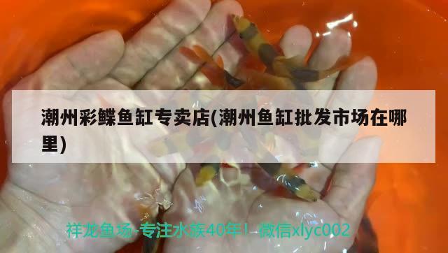 潮州彩鰈魚缸專賣店(潮州魚缸批發(fā)市場(chǎng)在哪里) 彩鰈魚缸（彩蝶魚缸）