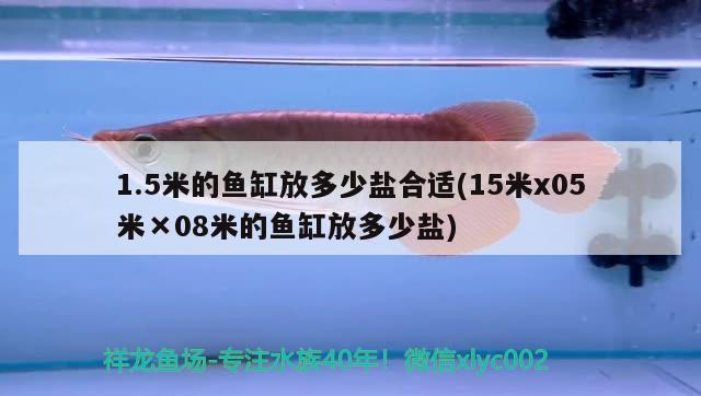 1.5米的魚缸放多少鹽合適(15米x05米×08米的魚缸放多少鹽)